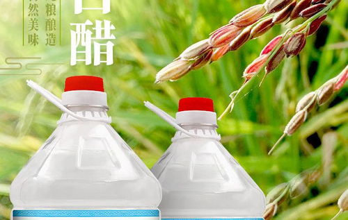 酿造白醋食用泡脚洗脸美白去污清洁除垢洗水果3.5度5 9斤批发