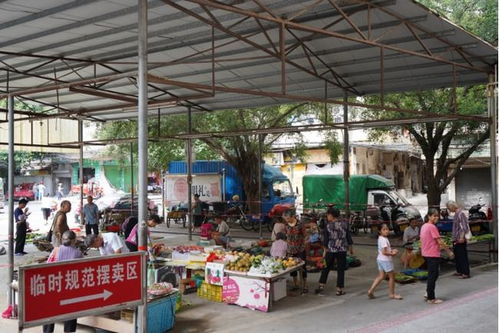 肇庆各地设置摆摊点 疏通秩序且方便市民